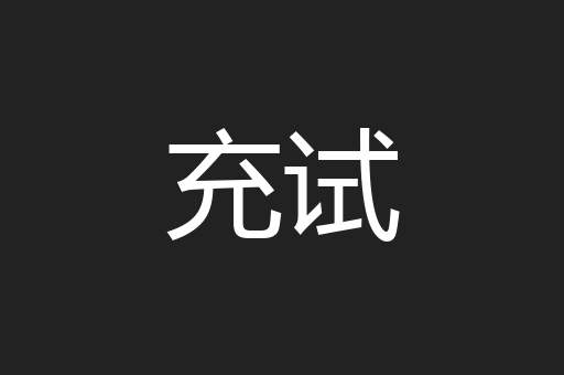 充试