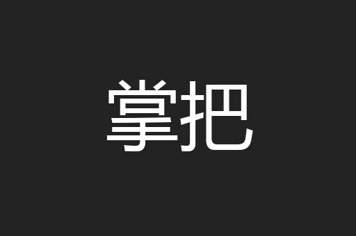 掌把