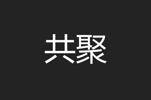 共聚