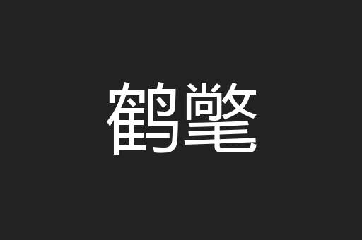 鹤氅