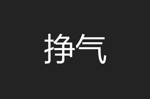 挣气