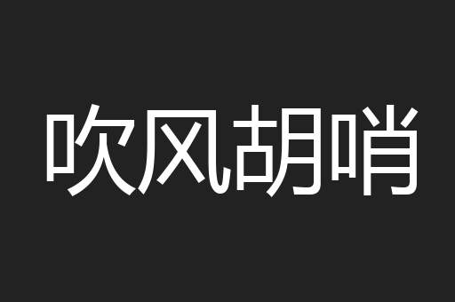 吹风胡哨