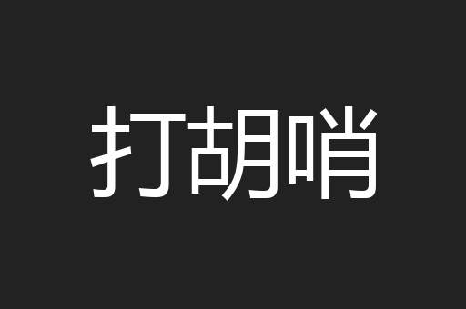 打胡哨