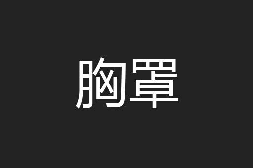 胸罩