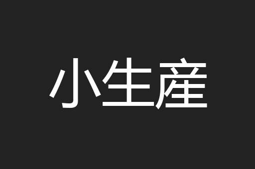 小生産