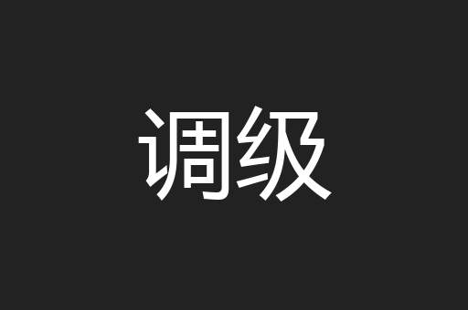 调级