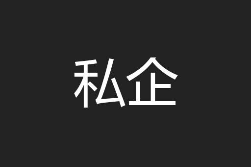 私企