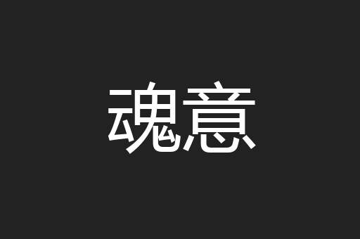 魂意