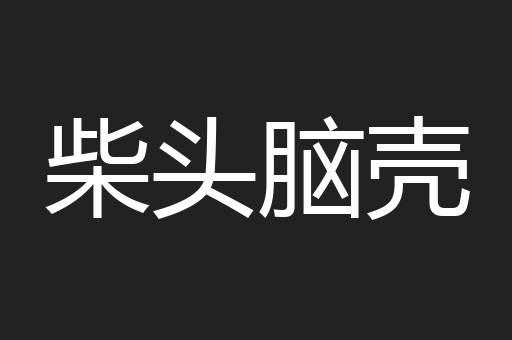 柴头脑壳