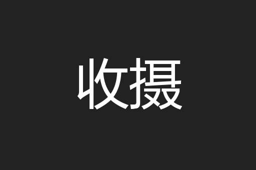 收摄