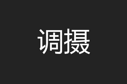 调摄