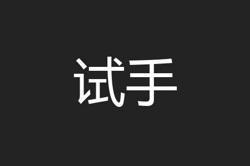 试手