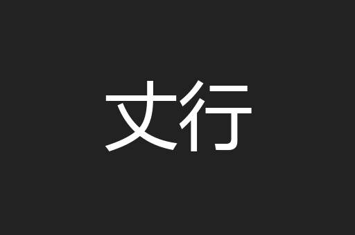 丈行
