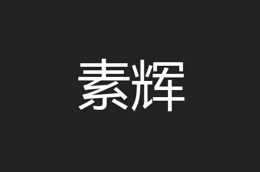 素辉