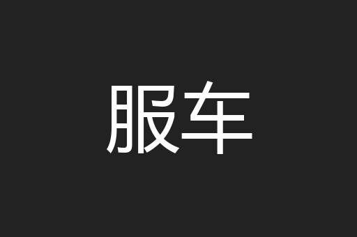 服车