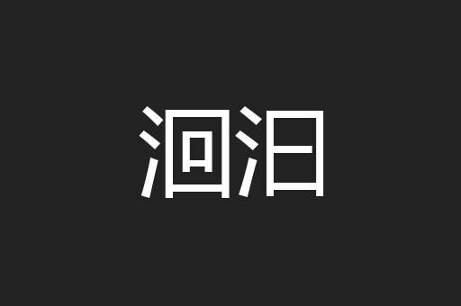 洄汩