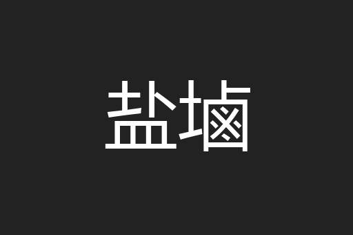 盐塷
