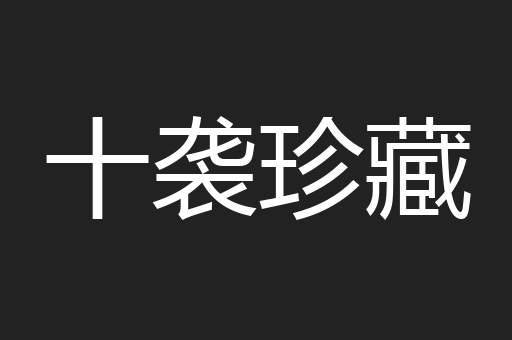 十袭珍藏