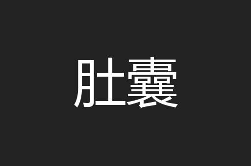 肚囊