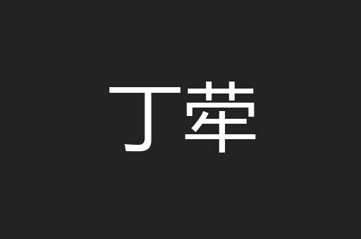 丁荦