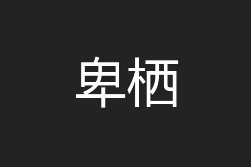 卑栖