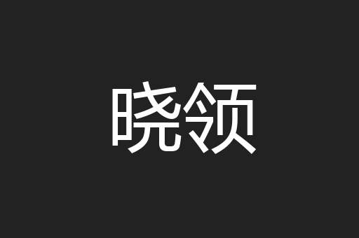 晓领