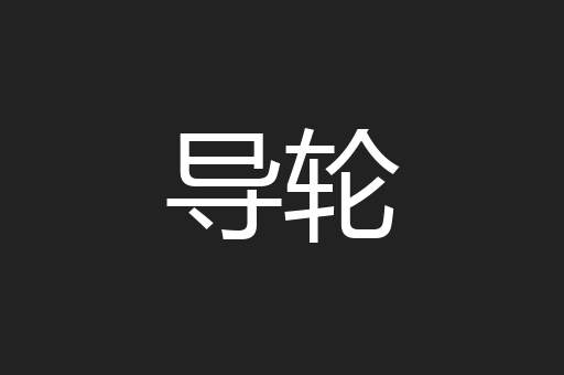 导轮