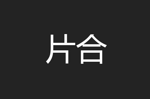 片合