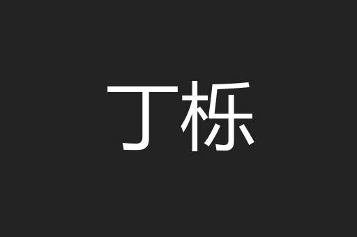 丁栎