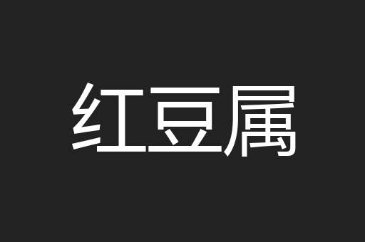 红豆属