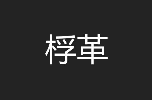 桴革