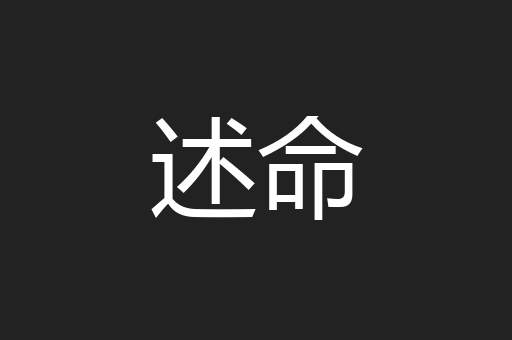 述命