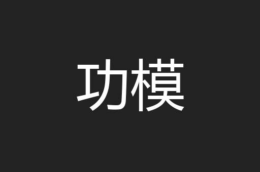 功模