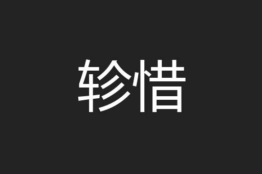 轸惜