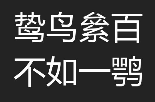 鸷鸟絫百不如一鹗