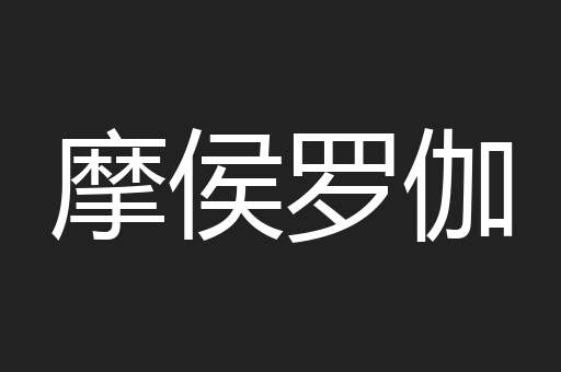 摩侯罗伽