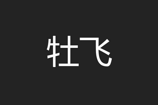 牡飞