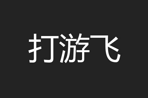 打游飞