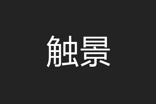 触景