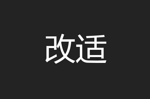 改适
