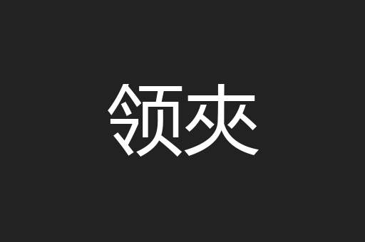 领夾