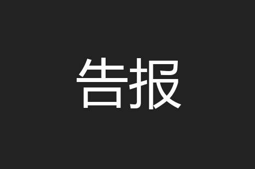 告报