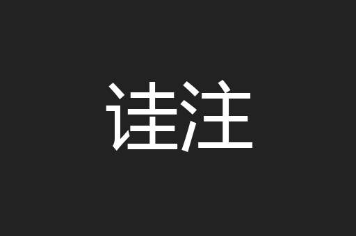 诖注