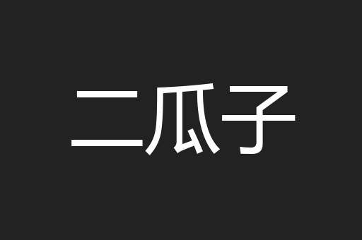 二瓜子