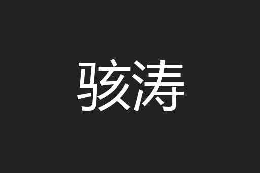 骇涛