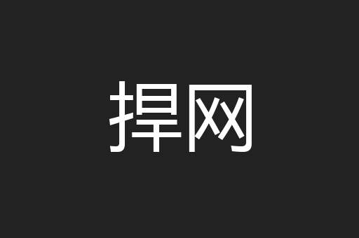 捍网