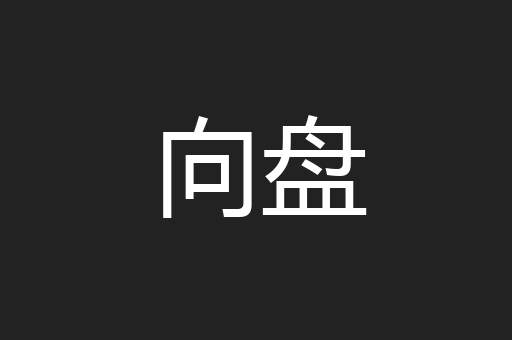 向盘