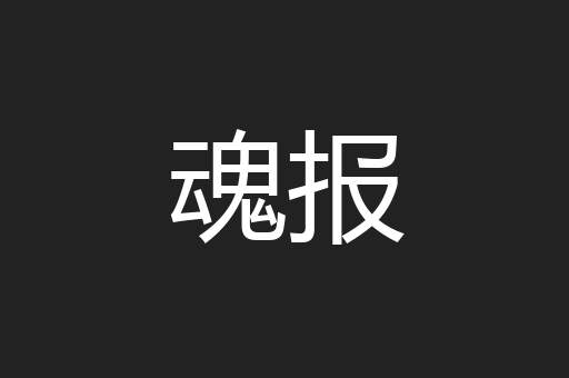 魂报