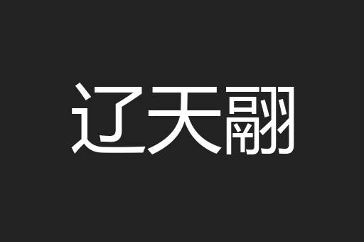 辽天翮