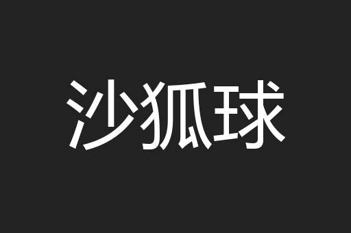 沙狐球